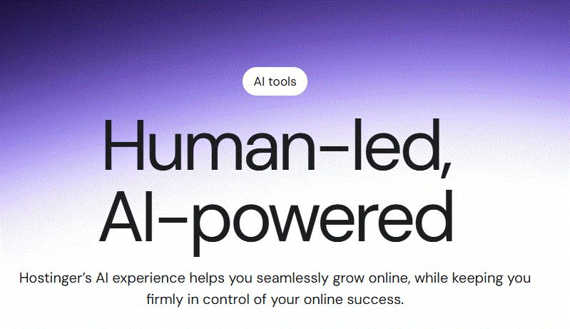 Hostinger Black Friday Sales